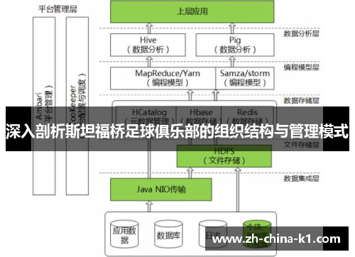 深入剖析斯坦福桥足球俱乐部的组织结构与管理模式