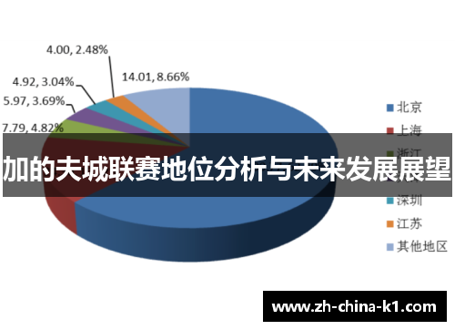 加的夫城联赛地位分析与未来发展展望