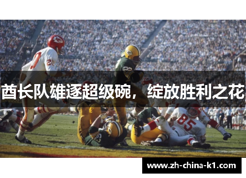 酋长队雄逐超级碗，绽放胜利之花