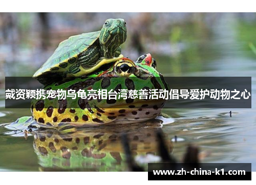 戴资颖携宠物乌龟亮相台湾慈善活动倡导爱护动物之心 戴资颖携宠物乌龟亮相台湾慈善活动倡导爱护动物之心